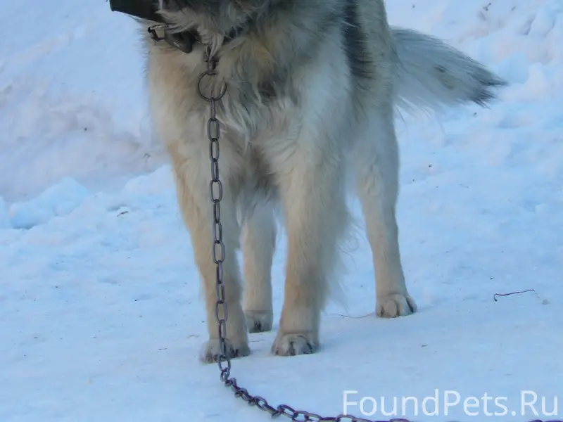 Пропал Хачик, район ул. Красина