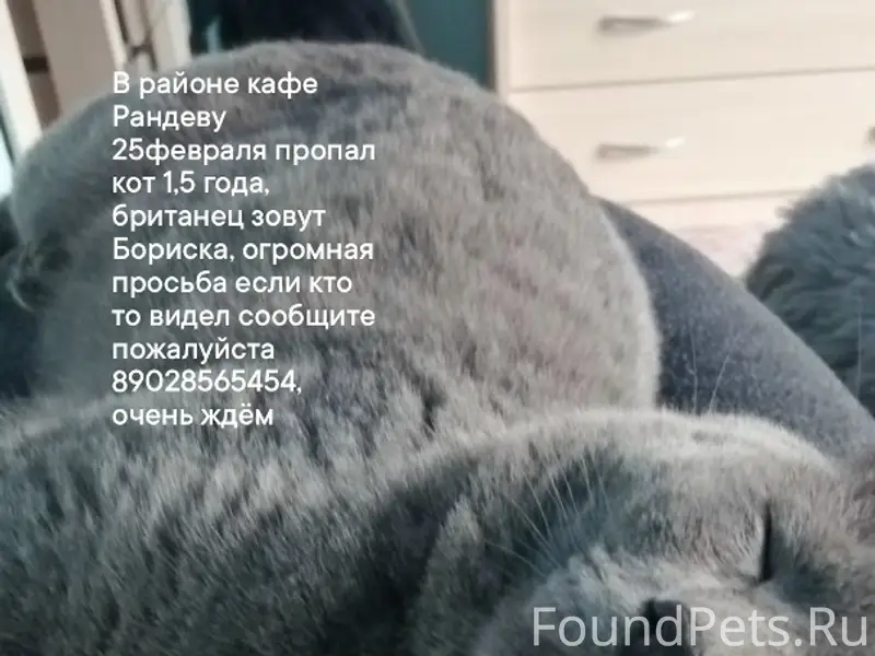 Пропал британец Бориска, район кафе Рандеву