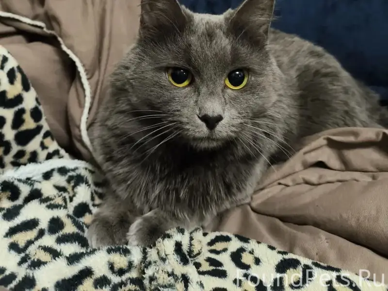 Выбежала случайно на улицу 