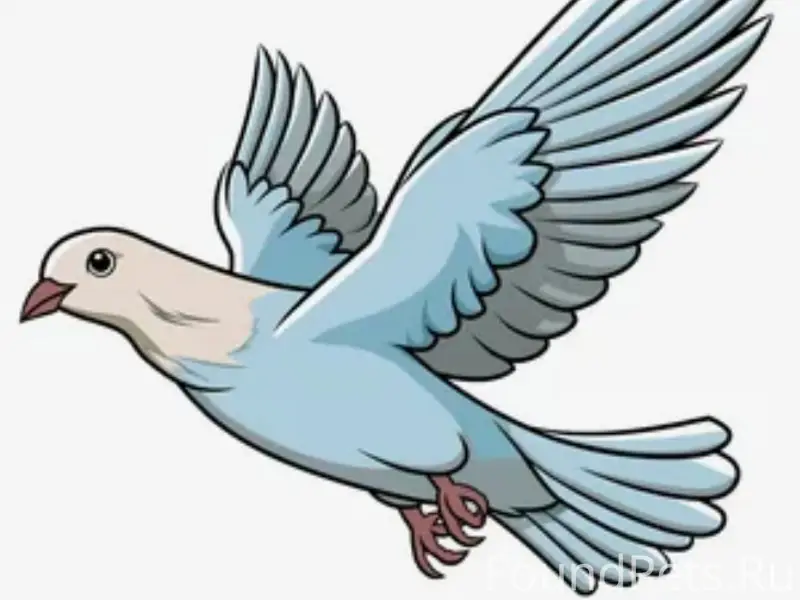 Найден голубь с поврежденным крылом, Семрино