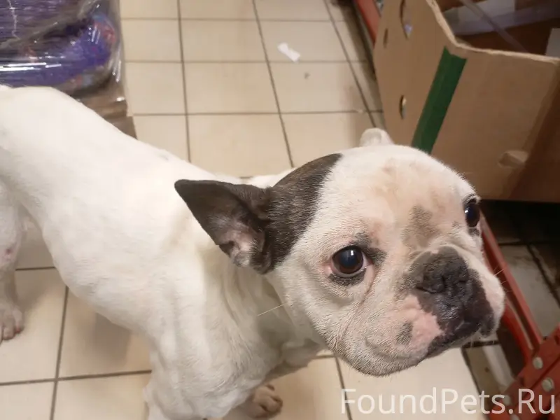 Найден тип неизвестен, место неизвестно