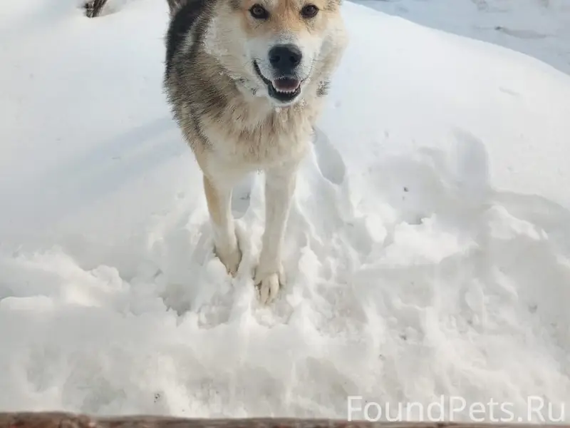 Пропал кабель, район оплесина