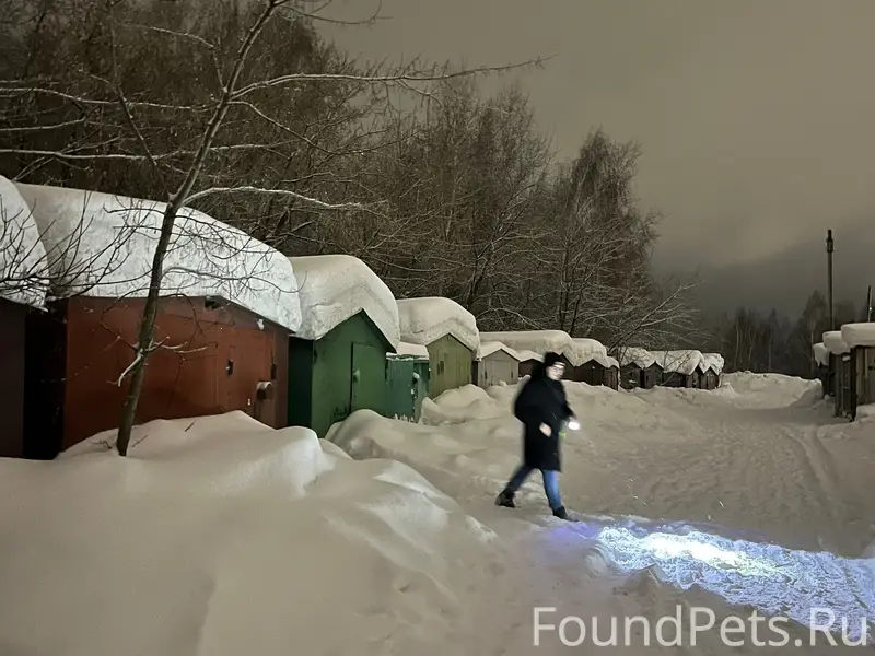 Пропал кане-корсо, район Стройпарка