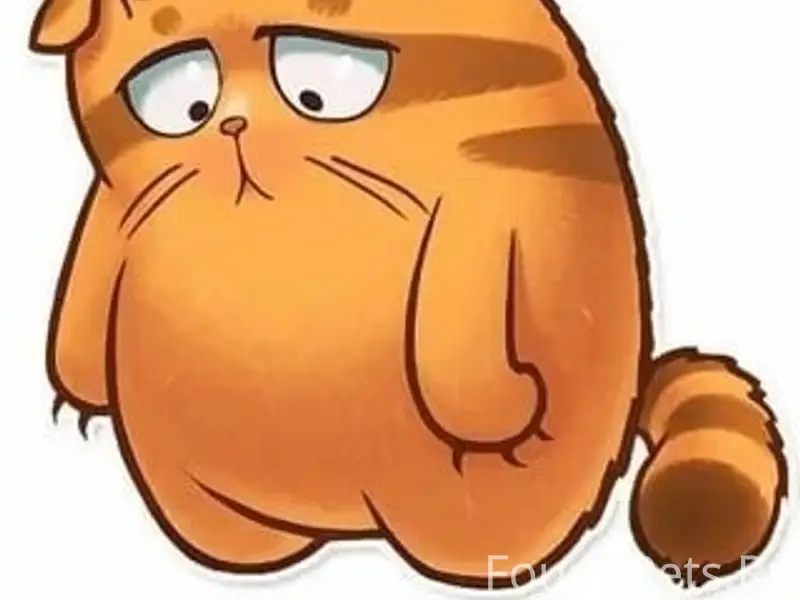 Найден рыжий кот, дом Правды 21а