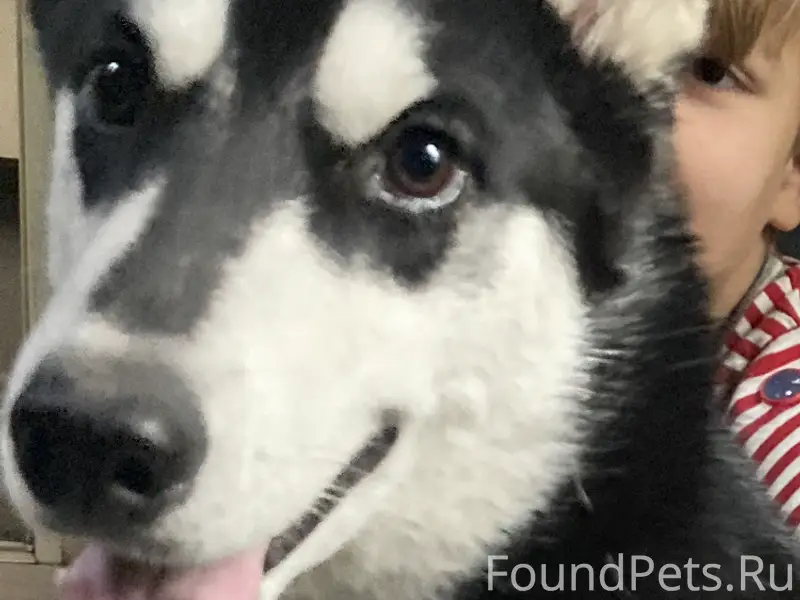 Пропал мальчик  Джейсон