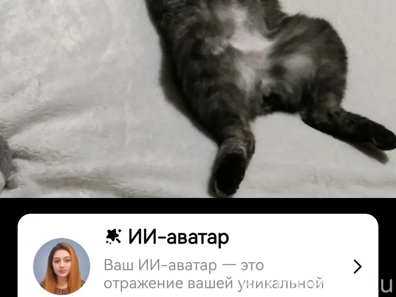 Пропала кошка Бакси, 1,2 микрорайоны