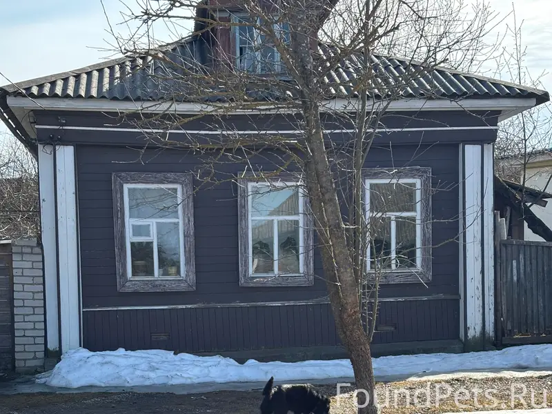 Пропал чёрный пёс, Плещеевская