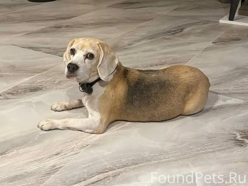 Пропал мальчик Ёся, Мельничный тракт