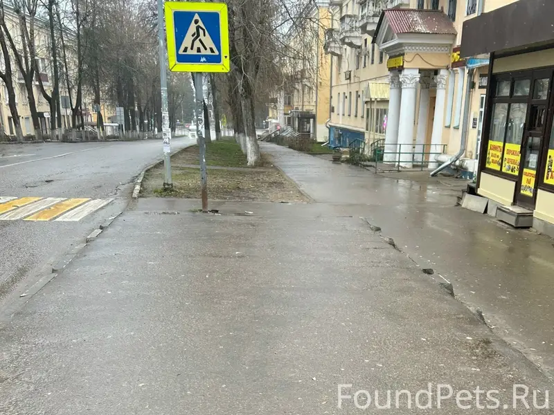 Пропала собака, Воскресенский район