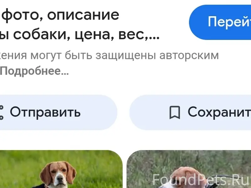 Пропал Бигль, Северный район