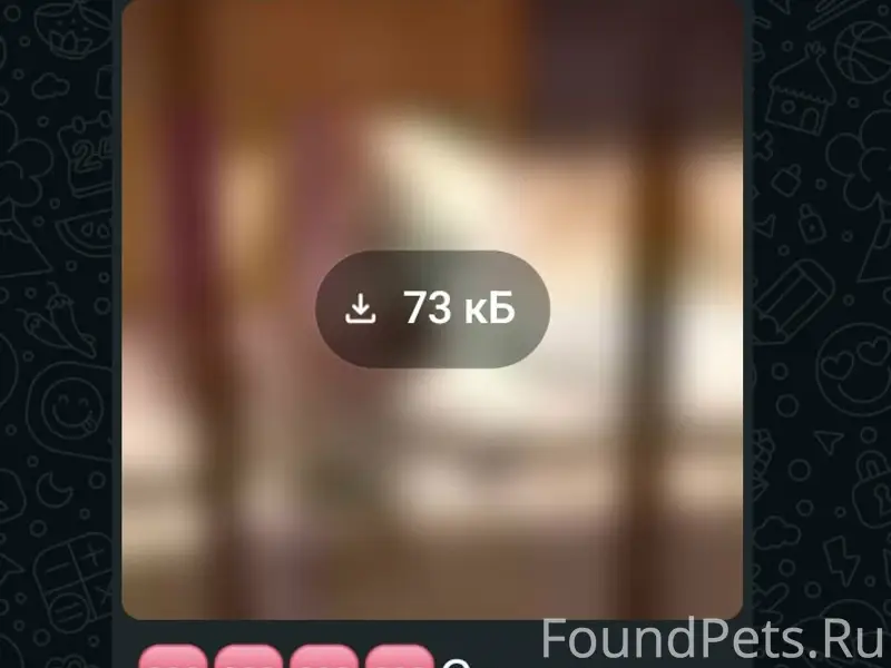 Пропал пёс Тим, Кинельский район