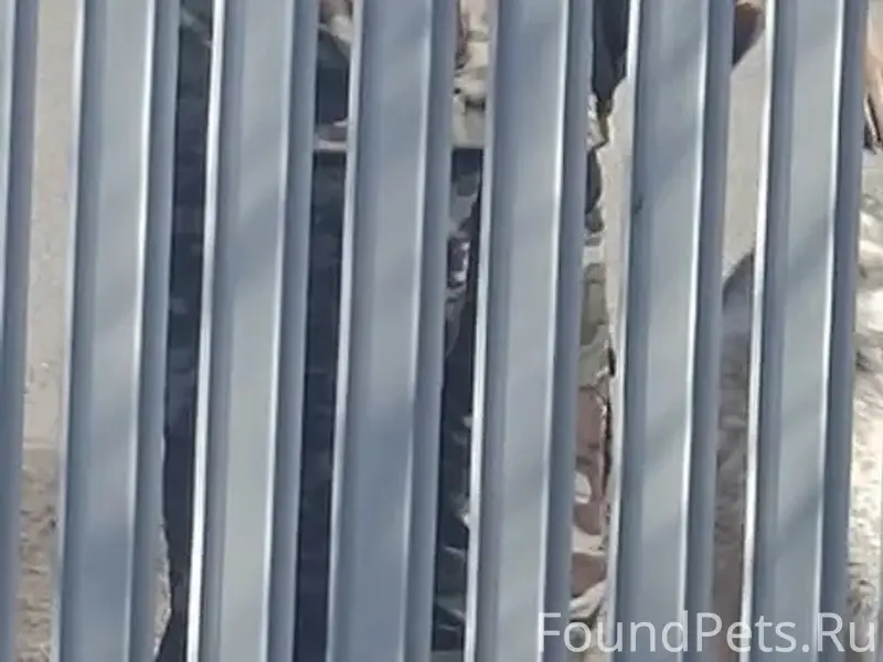 Найден кабель в с. Миндерла