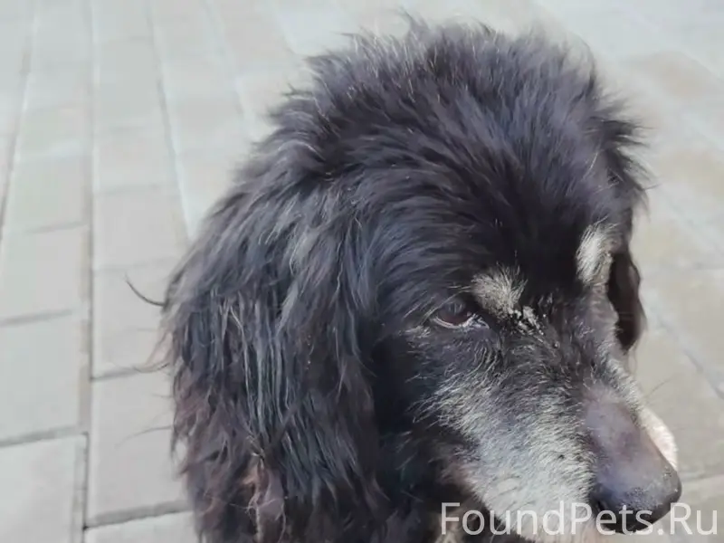 Пропал мальчик, Пролетарский (Нахичевань)