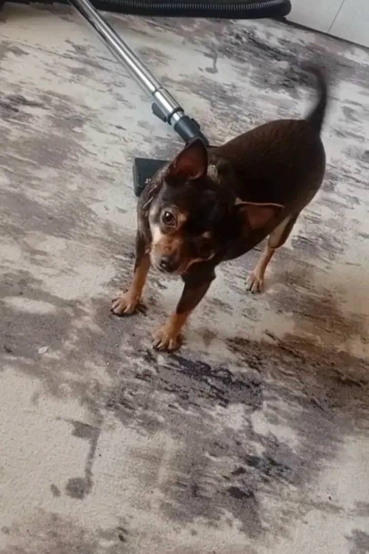 Пропал Рич, район маленького базарчика