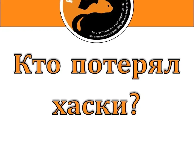Найдена собака в Новобесергеневке, в ошейнике
