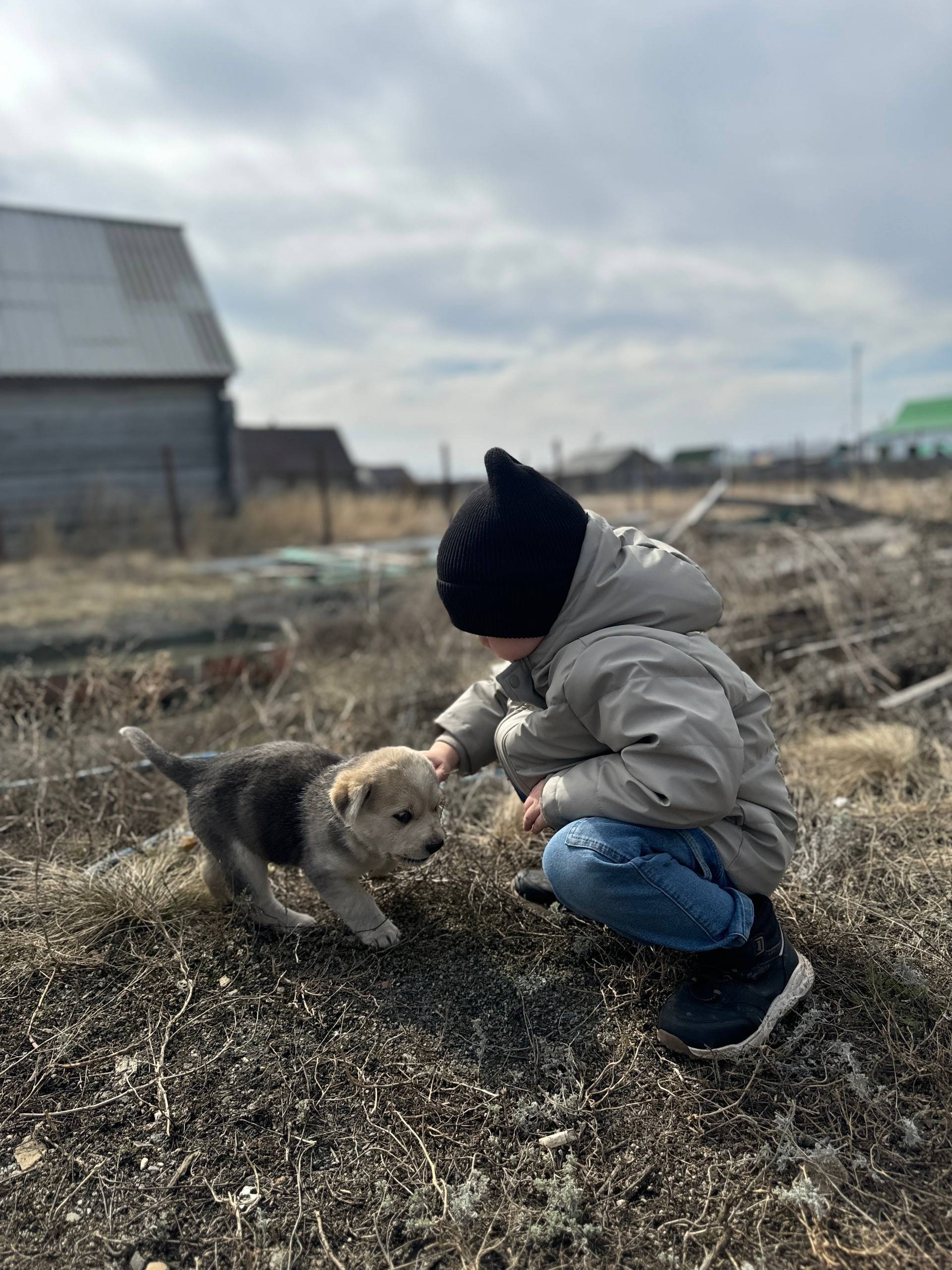 Пропал щенок, был ошейник зеленого цвета