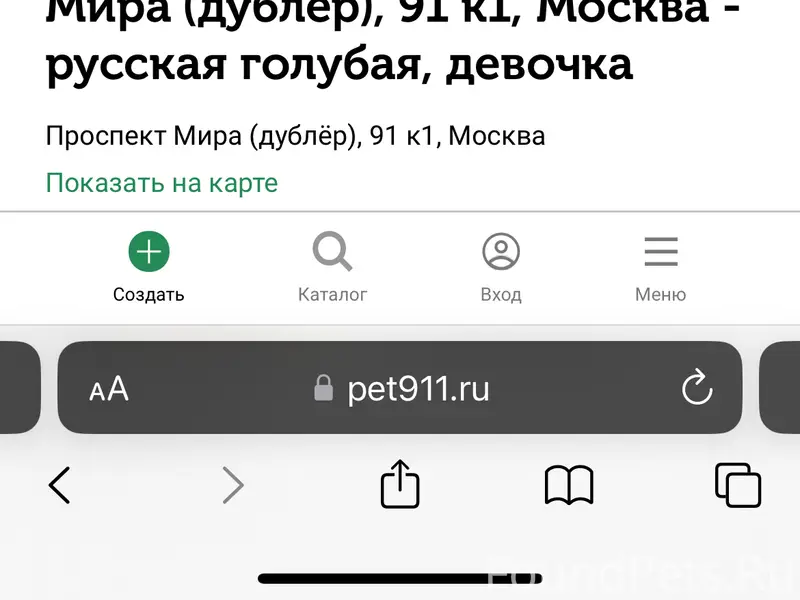 Пропала Кошка 🐈‍⬛ 