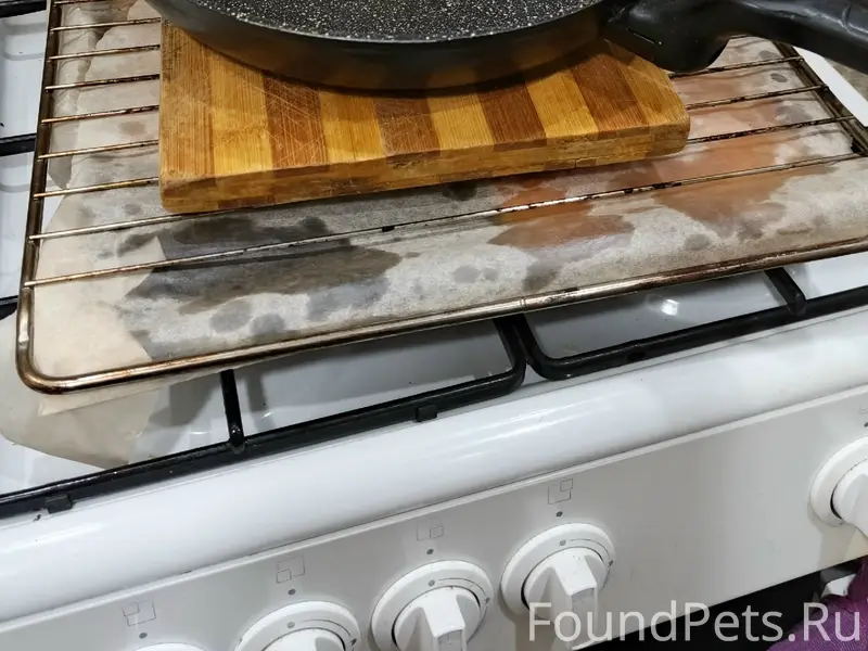 Пропал кот, 