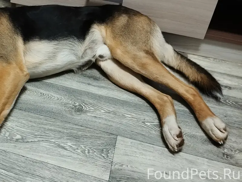 Пропал Барри, район Нового Бурца