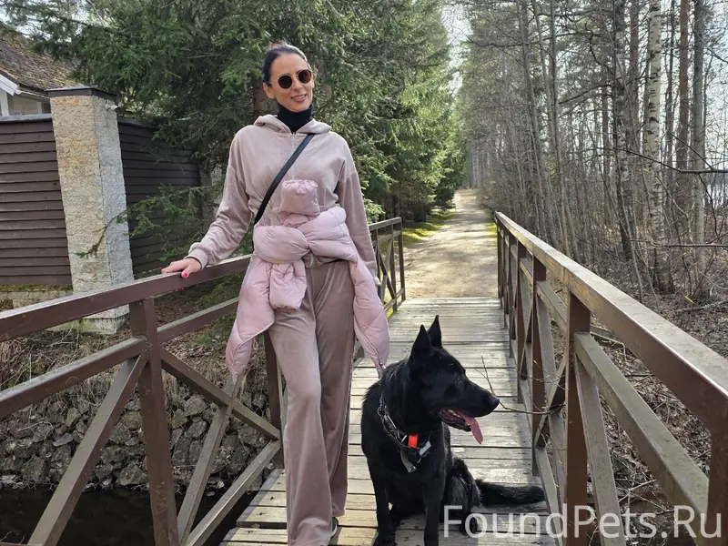 Пропала собака, район Лесколовской школы