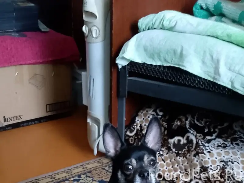 Пропал мальчик Тима, поселок