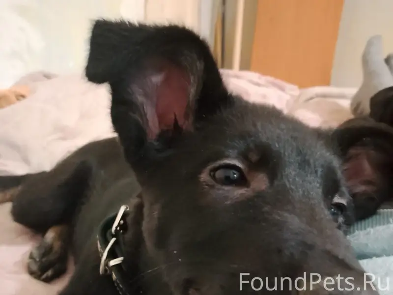 Пропала ВЕО Айда, район СЭС