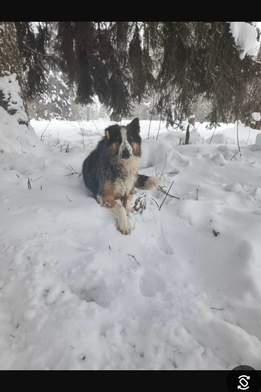 Пропал кабель, Алабушево