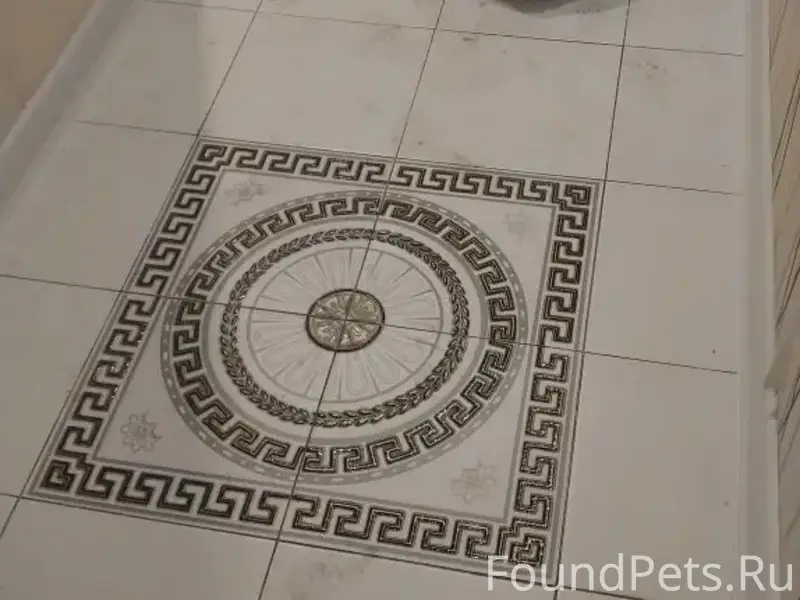 Пропала собака-метис хаски, район рабочего штаба 64