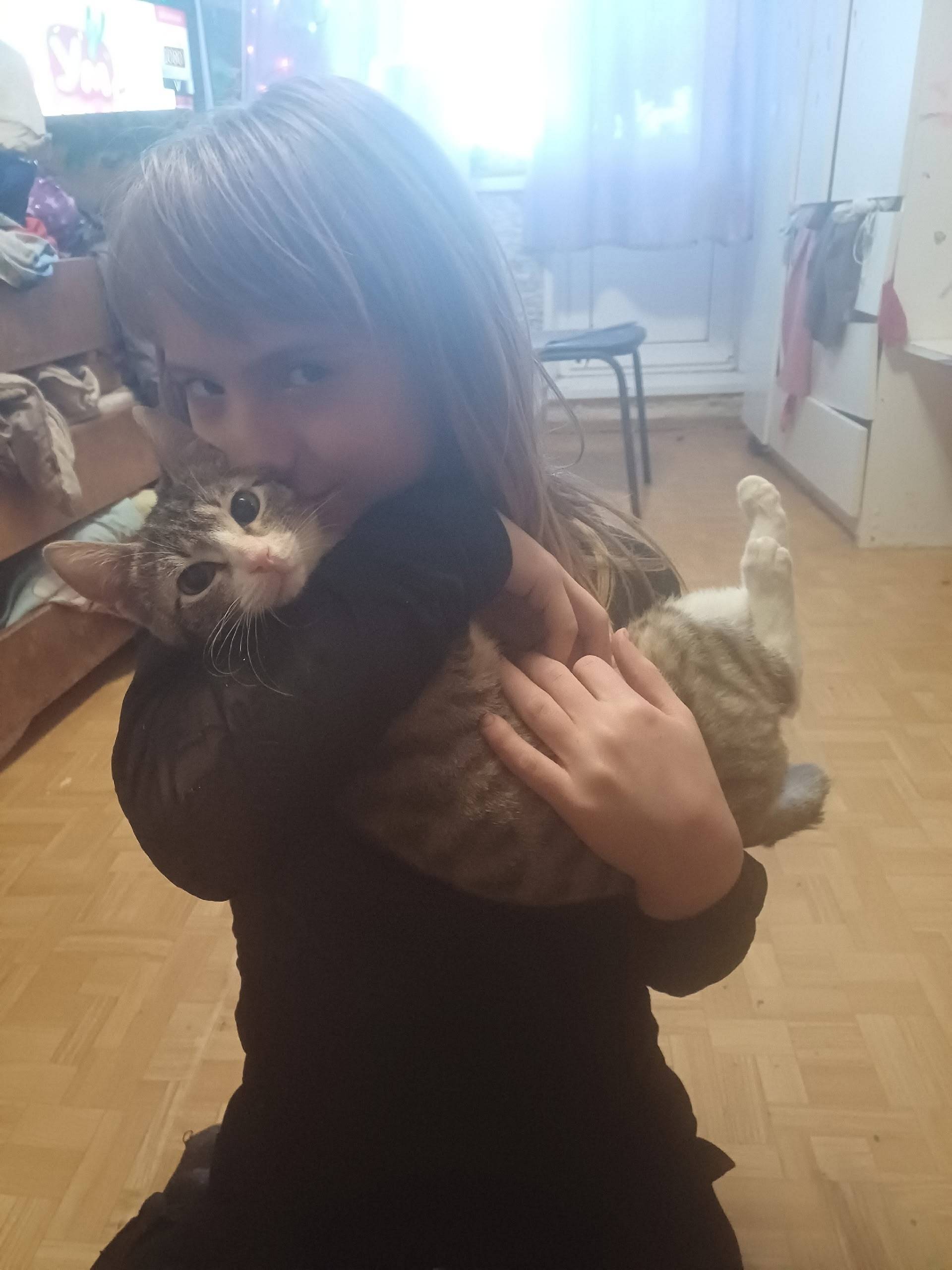 Пропала кошка Мурка