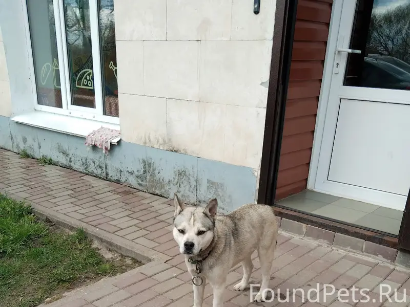 Найден кабель, Зарево