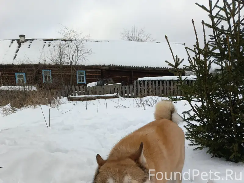 Пропал Рич, деревня Баимово