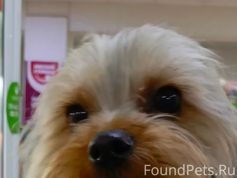 Найден мальчик, рынок 9 мая