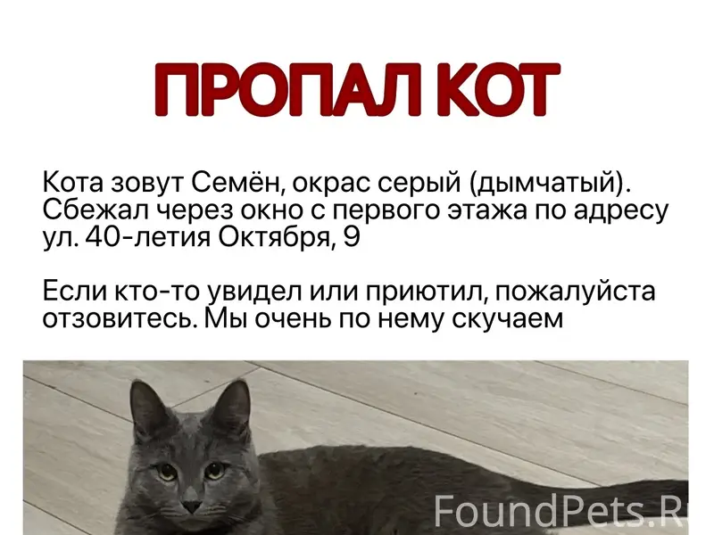 Пропал кот, серый, дымчатый, Уралмаш
