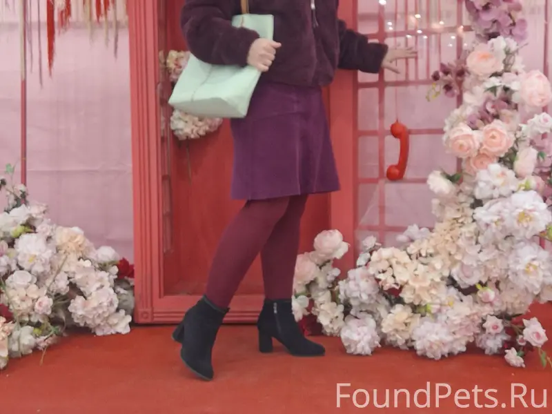 Найден щенок Чарли