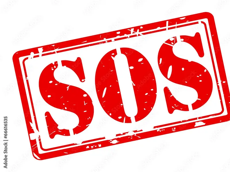 Пропал рыжий кот, Рязань, дендропарк