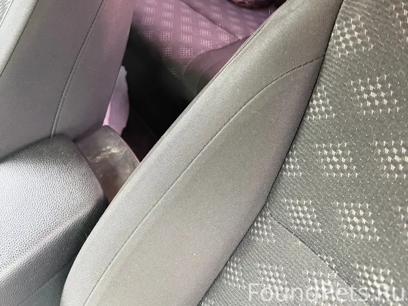 Найден Йорк, Тосно, проспект Ленина