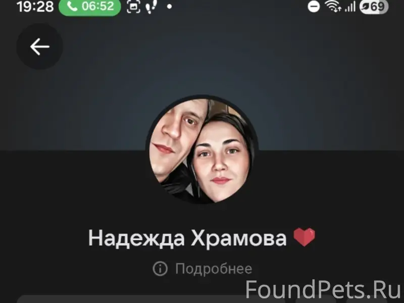 Пропала собака, неизвестна порода