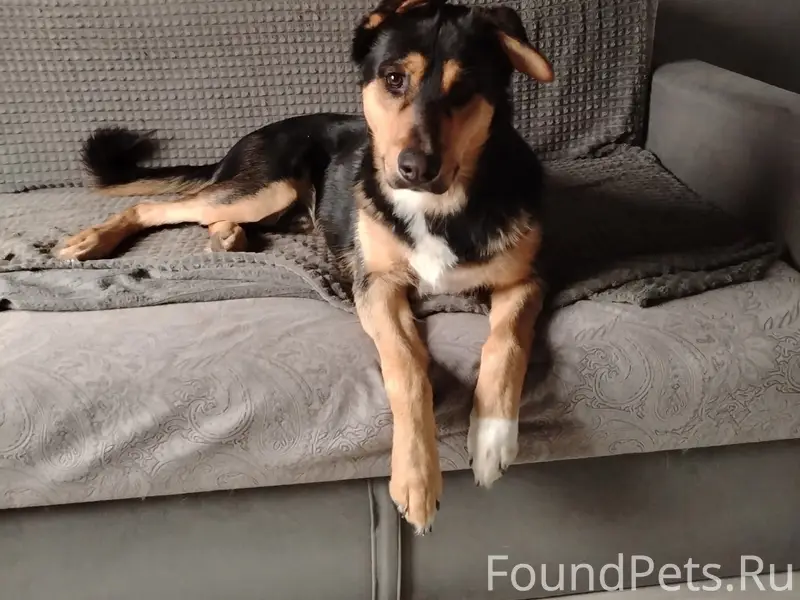 Пропал кабель Рэм, Вильповицы