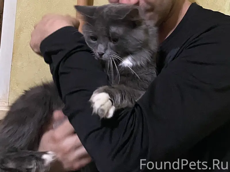 Пропал кот Тима, Проезд Торфмарша