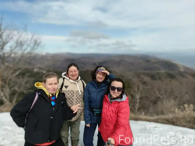 Пропала собака Маргоша, Маяк и Ермаковская
