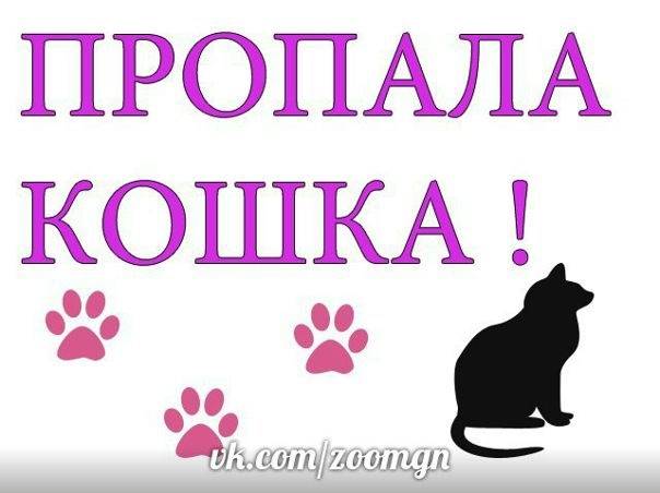 Пропала британка Герда, ул. Дзержинского