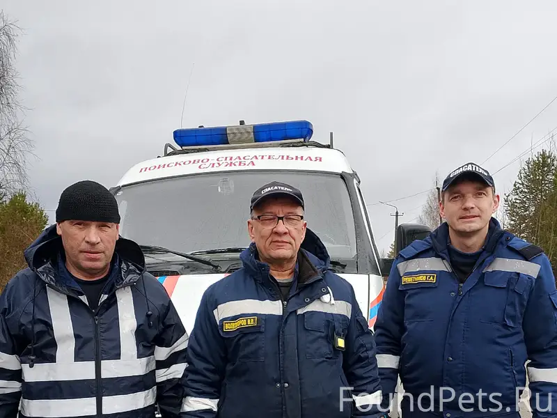 Найденна собака, поворот на «Кнауфф»