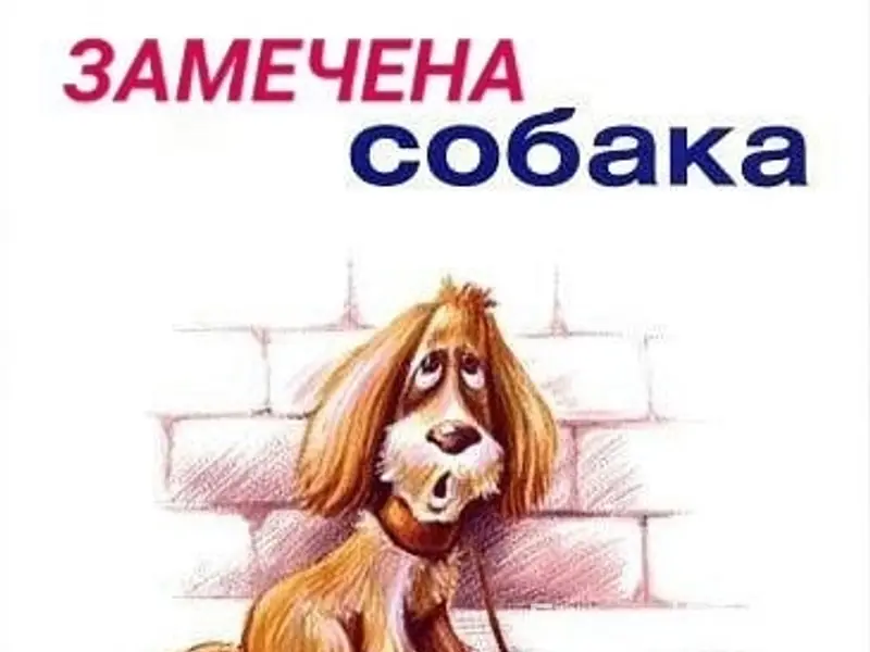 Пропал метис французского бульдога, светлый окрас, Коммунальная