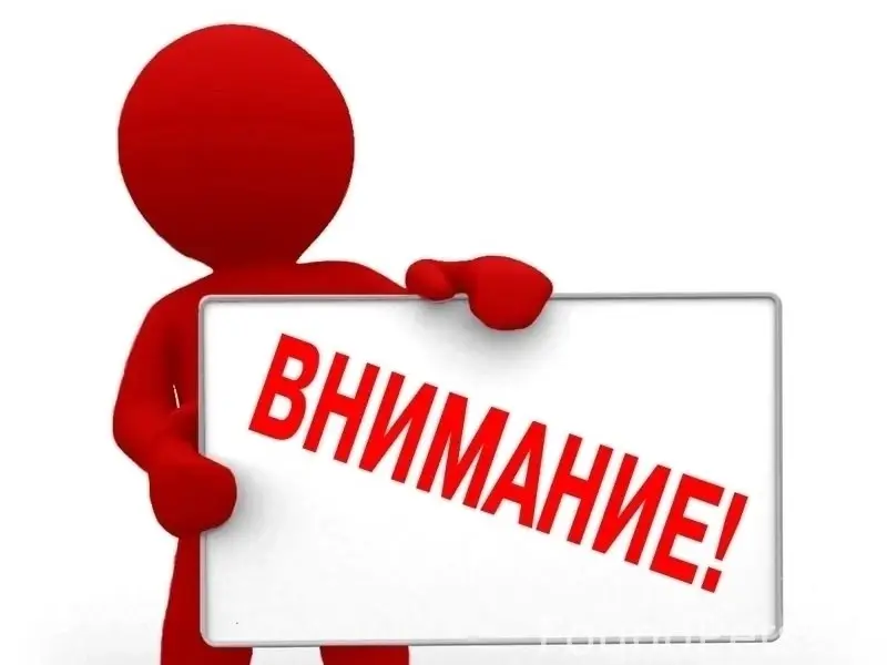 Найдена собака, улица Возрождение