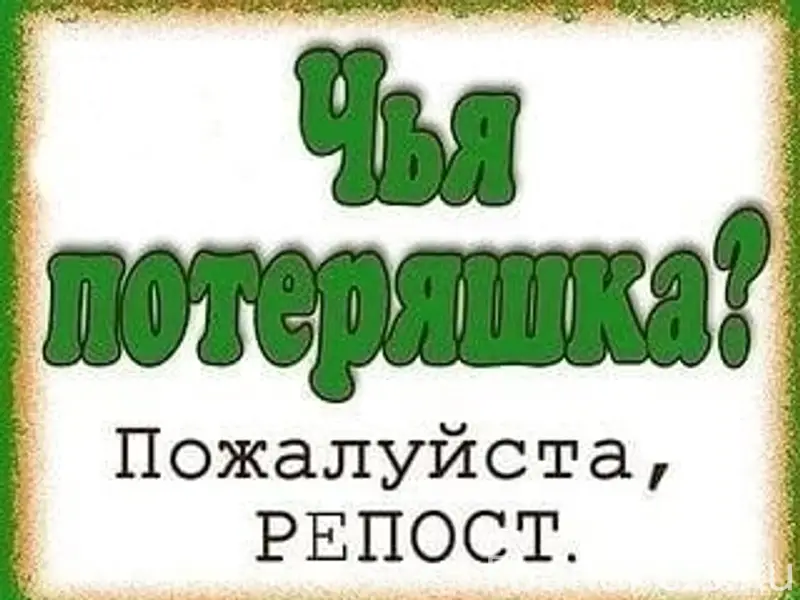 Пропала кошка, Ижевск, Труда