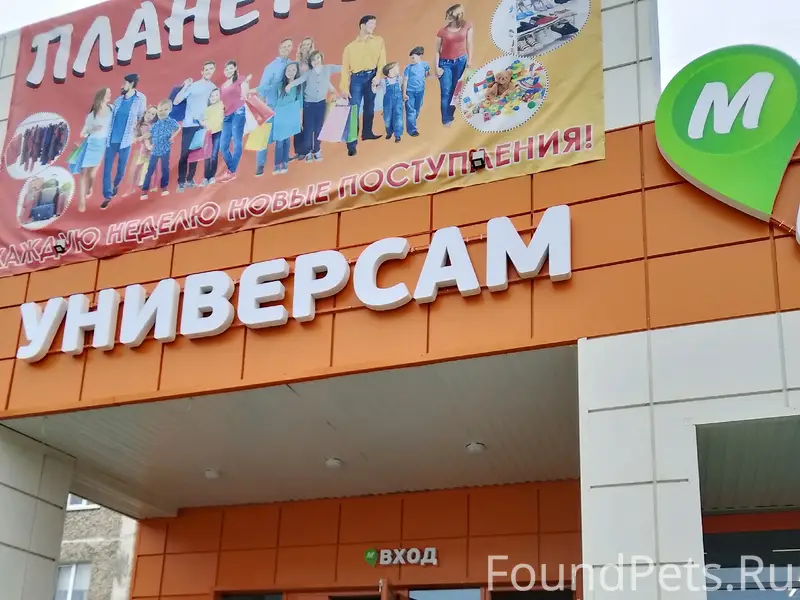 Пропал пёс, неизвестен район