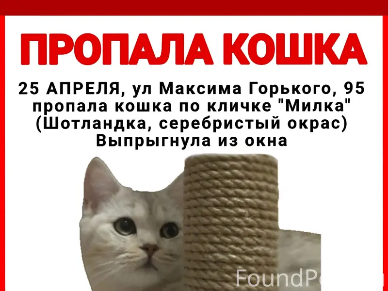 Пропала кошка Милка, Максима Горького