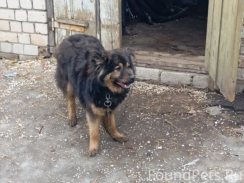 Пропал тип неизвестен, место неизвестно