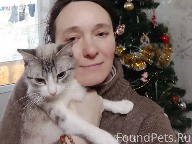 Пропала кошка Марся