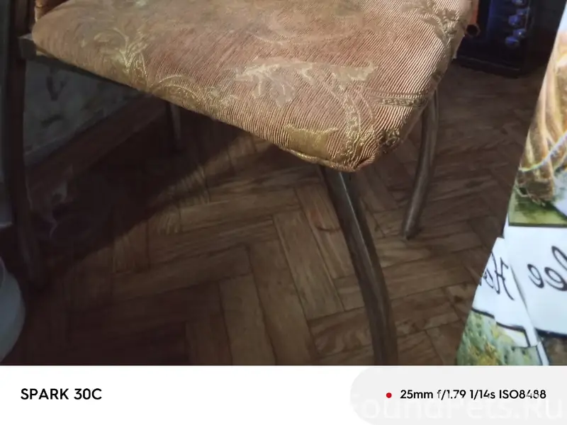 Пропала трехцветная кошка, ул. Железнодорожная